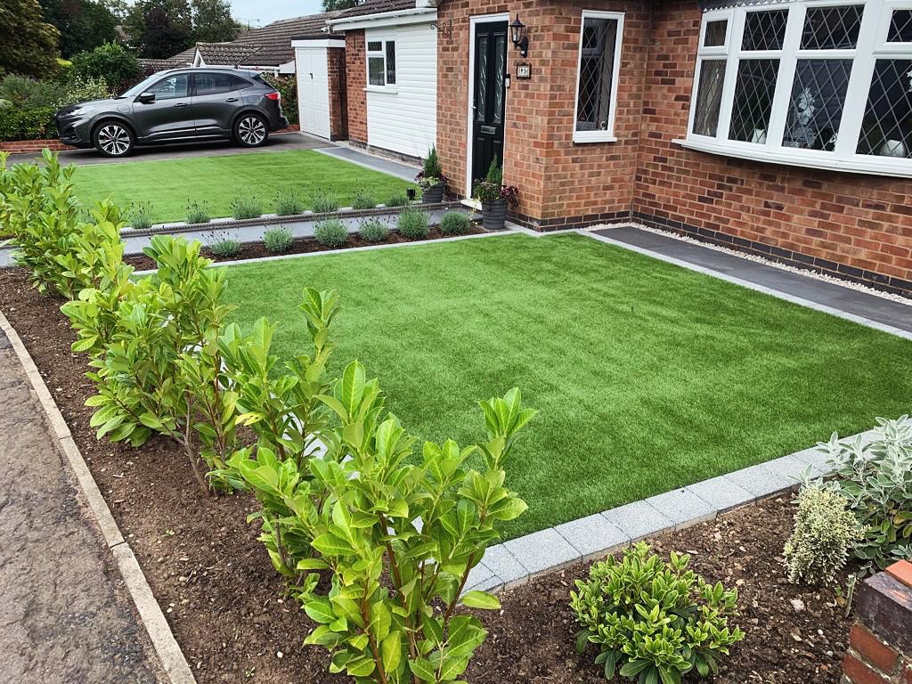 Young magnolia and bay tree hedge planted in border with lavender, Wigston front garden